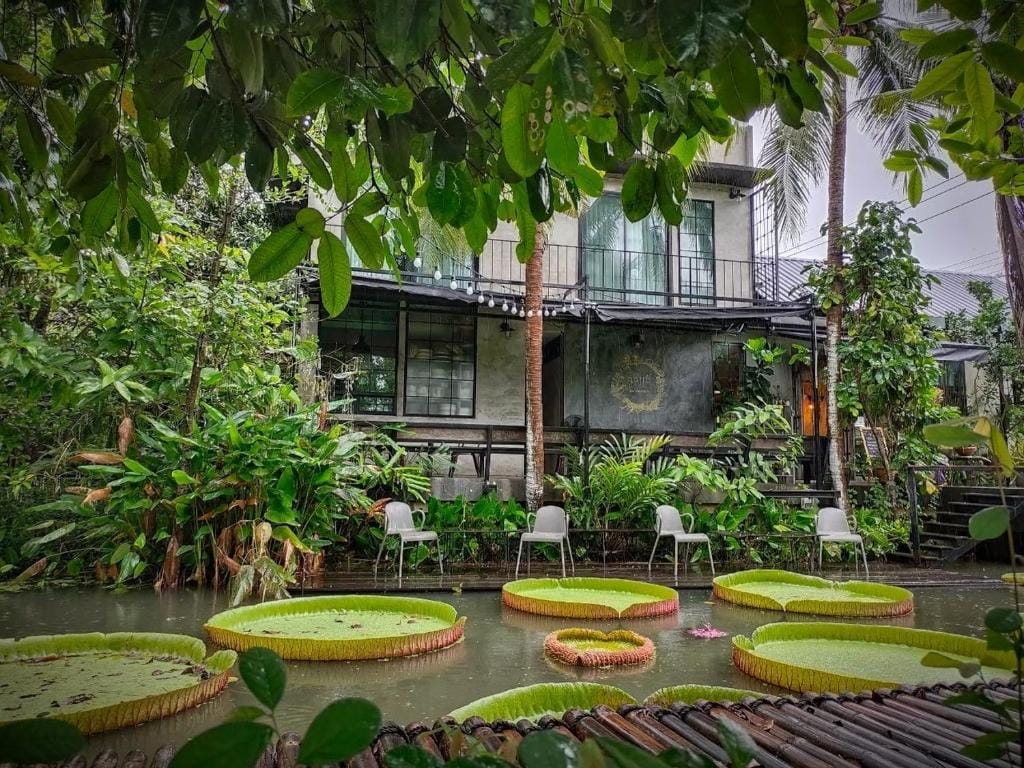 Gajib Bed&Breakfast — 1