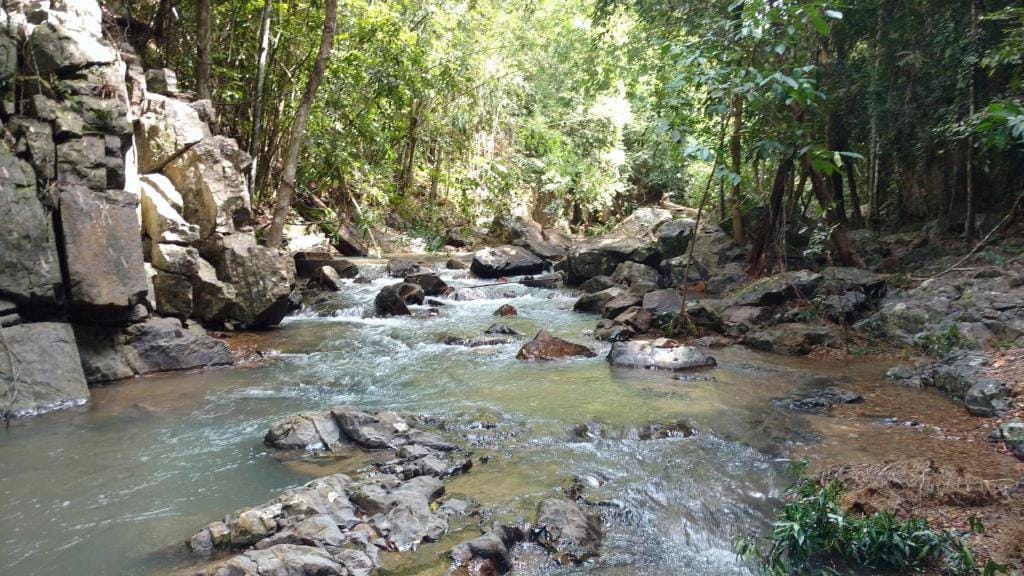 Chestnut Hill Eco Resort Hat Yai — 4